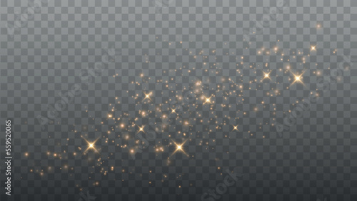 Gold Light. Vector Glitter Particles. Shining Bokeh