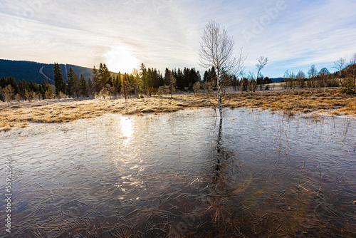 Lac des Rousses