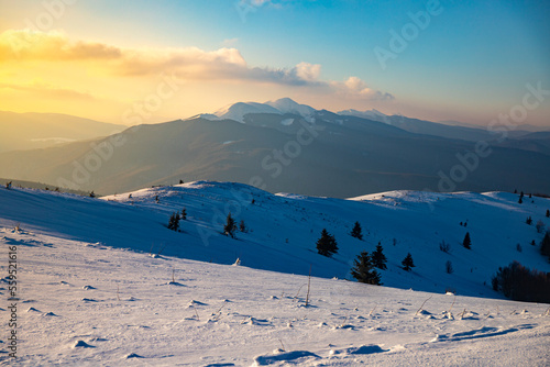 Fototapeta Naklejka Na Ścianę i Meble -  panorama of snowy mountains bieszczady at sunset, coniferous trees covered with snow, colorful winter sunset seen from the top of the mountain bukowe berdo