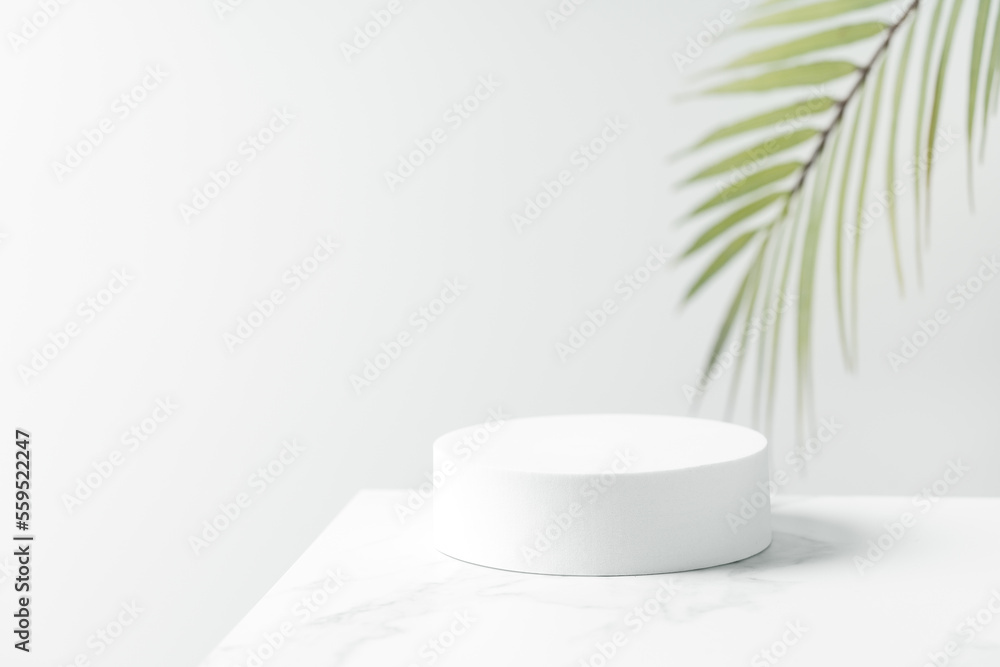 White circle pedestal for beauty cosmetic product presentation. Bathroom shelf mockup. White circle pedestal for beauty cosmetic product presentation. Bathroom shelf mockup.