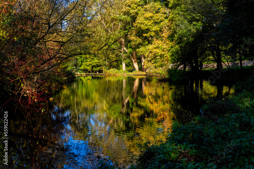 Autumn Colours and a lake in the Loose valley in Maidstone, Kent
