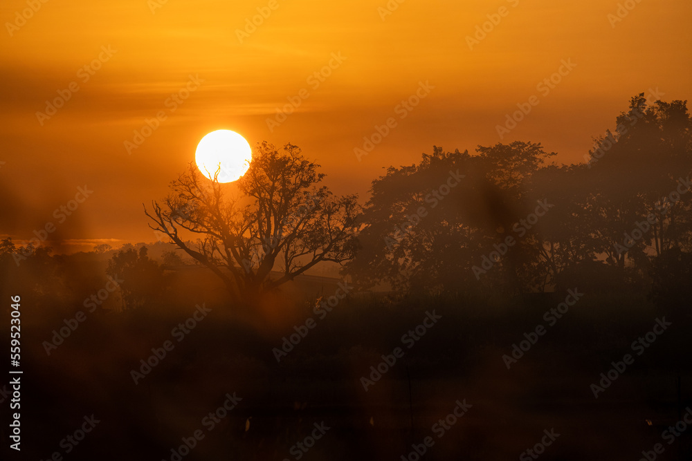 Fototapeta premium sunset in the mountains