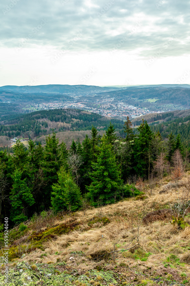 Fototapeta premium Wanderung zum Ruppberg im Thüringer Wald bei Zella-Mehlis - Deutschland