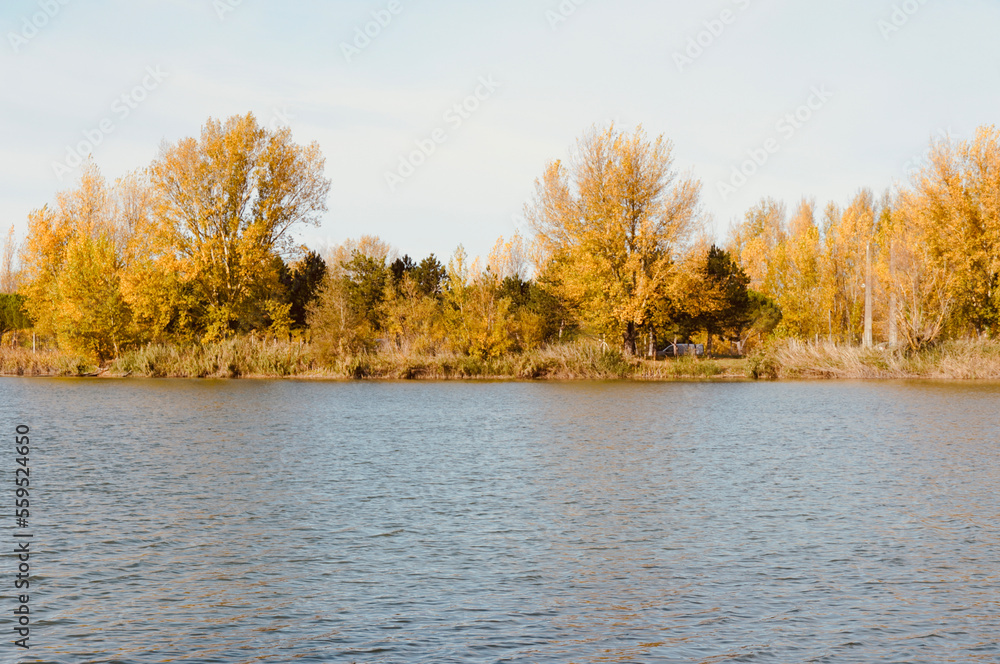 Lake of Buzerens, Bram, France. Landscape nature with space for text. Autumn trees in the background. Ecosystem of rivers and lakes. Lake of Buzerens, Bram, France. Landscape nature with space for text. Autumn trees in the background. Ecosystem of rivers and lakes.