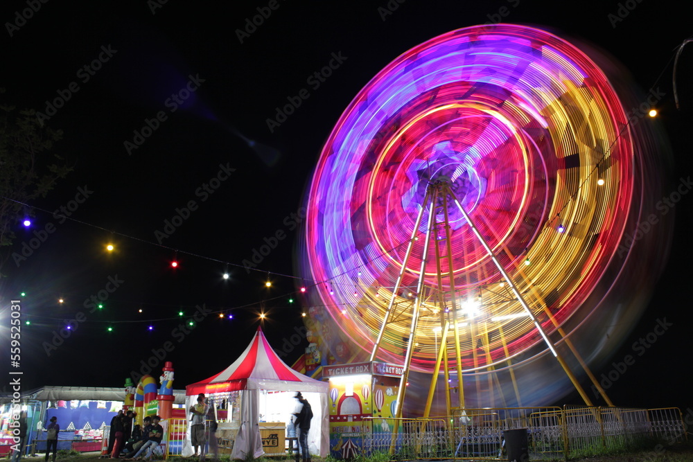 Obraz premium ferris wheel in the night