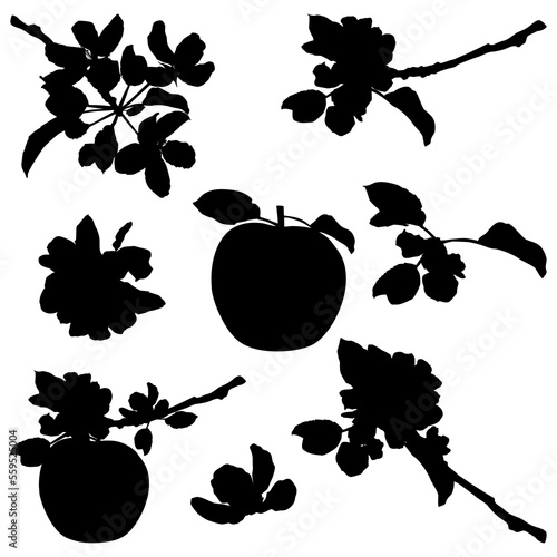 Apple blossom black silhouettes. Fruit tree twigs with flowers, vector illustration