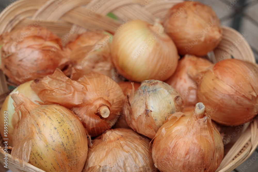 Close-up, spoiled onion in a barker, poor quality. Close-up, spoiled onion in a barker, poor quality.