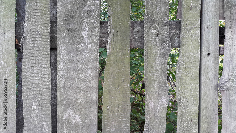 Weathered curved board fence Weathered curved board fence