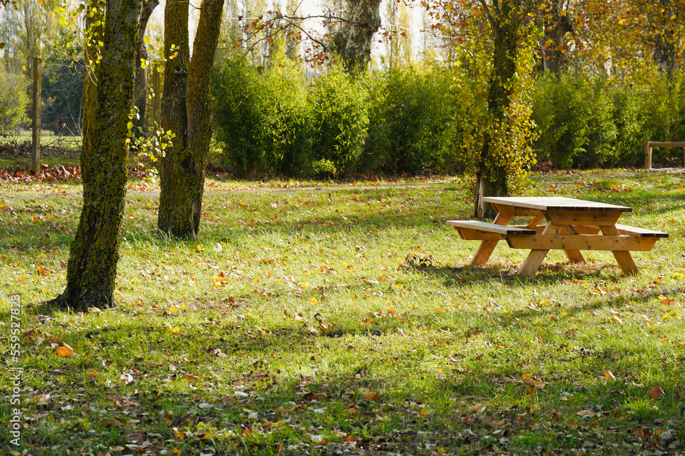 Wooden picnic table in nature. Solitary wooden table in a park. Wooden picnic table in nature. Solitary wooden table in a park.