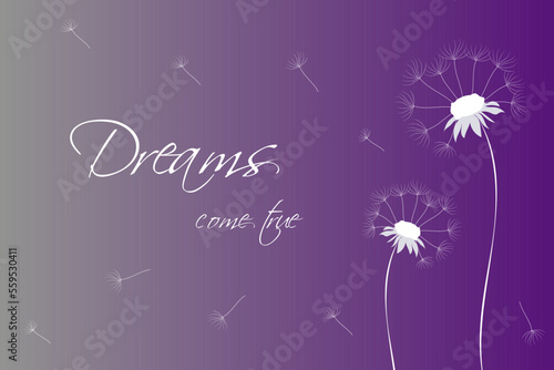 Vector poster  print for clothes  banner with dandelions and beautiful decorative text dreams come true 