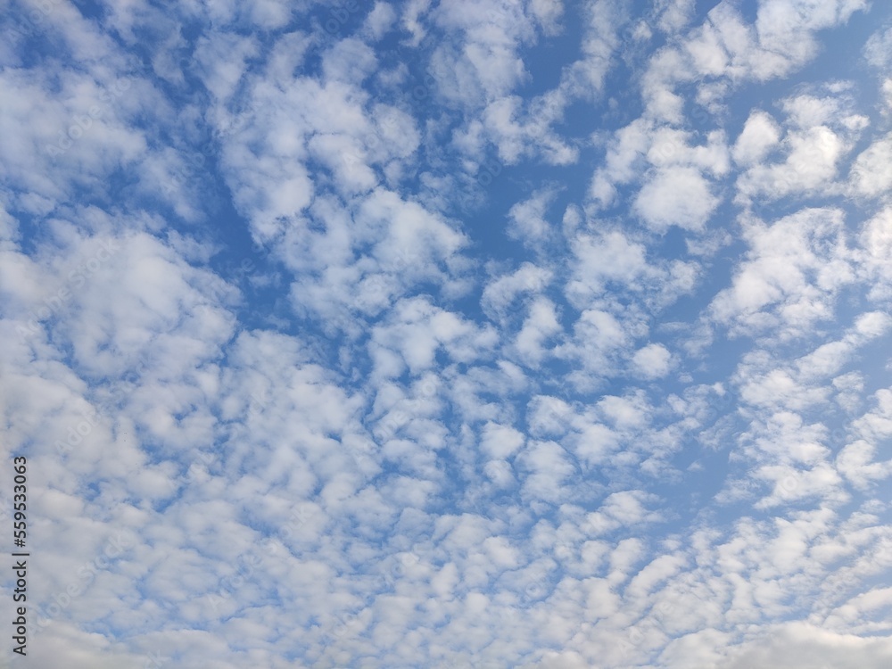 Picture of blue sky with white clouds in sky shot in the morning Picture of blue sky with white clouds in sky shot in the morning
