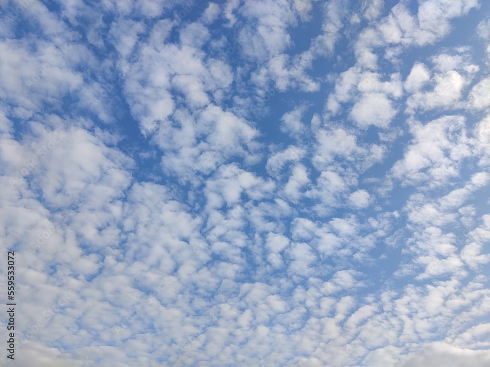 Picture of blue sky with white clouds in sky shot in the morning Picture of blue sky with white clouds in sky shot in the morning