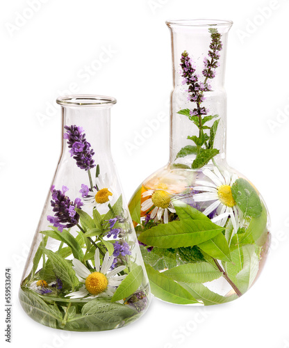 Canvas Print Erlenmeyer flasks with medicinal herbs, transparent background