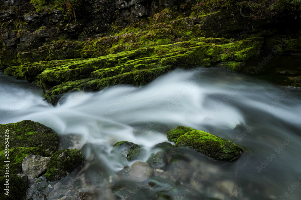 Fototapeta premium Schwarzwasserbach im Kleinwalsertal bei der Ortschaft Riezlern.