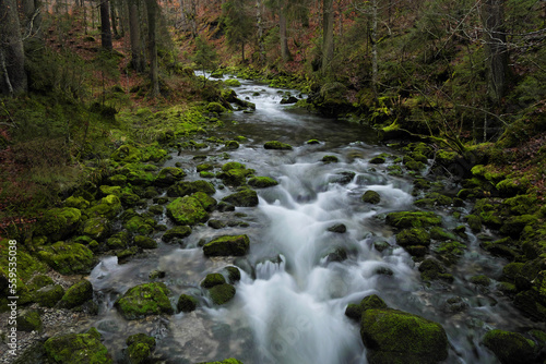 Aubach im Kleinwalsertal bei der Ortschaft Riezlern.