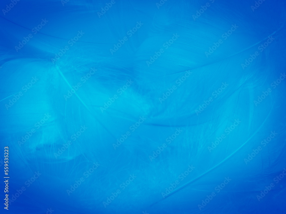 Beautiful abstract blue feathers on white background, white feather
