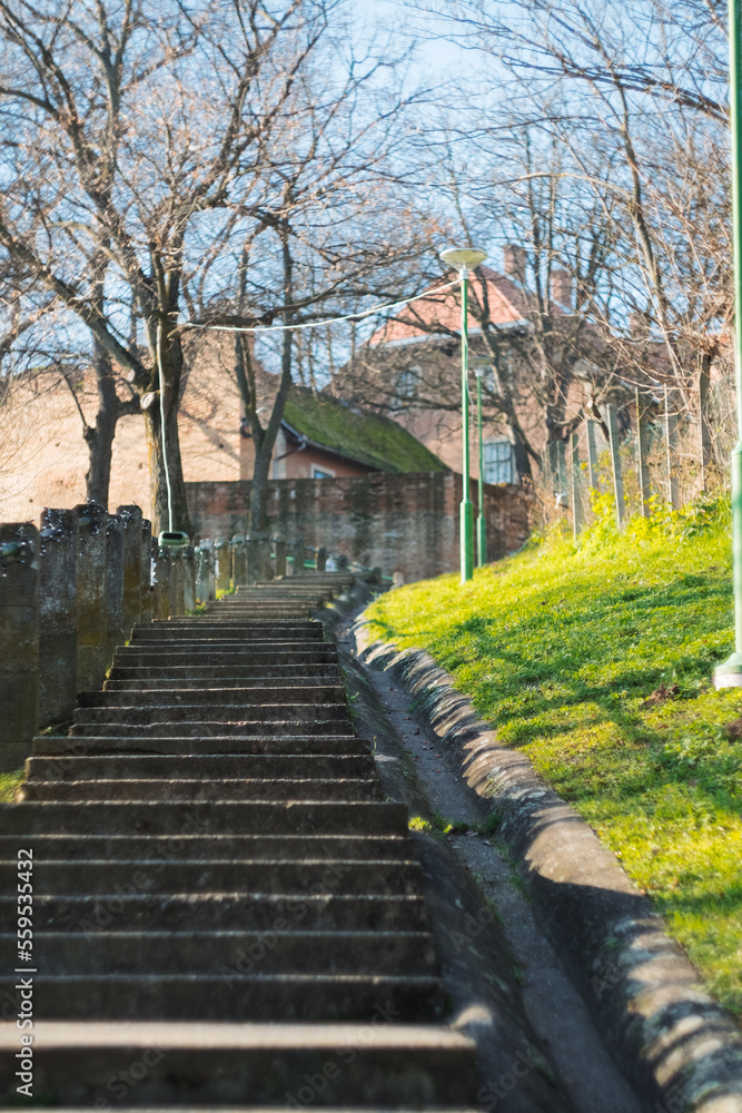 Obraz premium Medieval ruins of an old castle Ilok Croatia