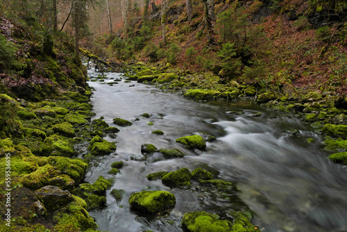 Aubach im Kleinwalsertal bei der Ortschaft Riezlern.