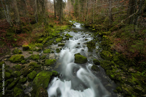 Aubach im Kleinwalsertal bei der Ortschaft Riezlern.