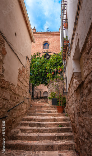Baños de la Encina, un pueblo de Jaén situado al este de Sierra Morena. Con su castillo de origen árabe, sus iglesias y su gastronomía, lo hacen un pueblo maravilloso. © Alcudia