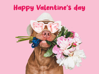 Lovable, pretty brown puppy and a bouquet of flowers. Happy Valentine's Day. Closeup, indoors, studio photo. Congratulations for family, loved ones, relatives, friends and colleagues. Pet care concept