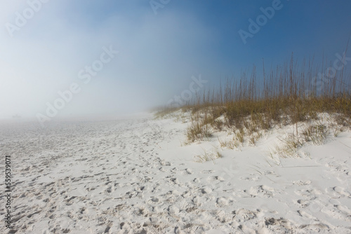 Dense fog moving across a beautiful, white sand beach and dunes with no people