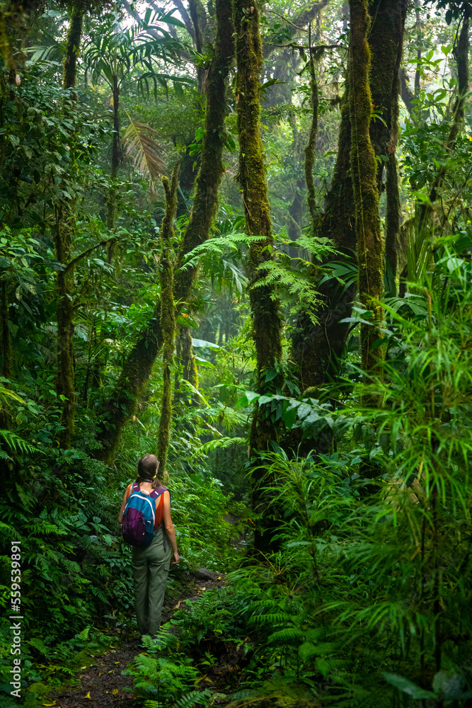 backpacker girl walks through dense jungle in monteverde cloud forest, Costa Rica; walk through fairy tale, magical tropical rainforest; wild nature of Costa Rica