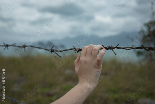 a hand holds on to barbed wire against a stormy sky. man seeks freedom behind the fence. 