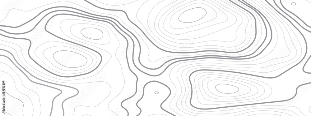 Abstract topographic contours map background. Topography lines and circles background. 