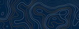 Abstract topographic contours lines map background. 