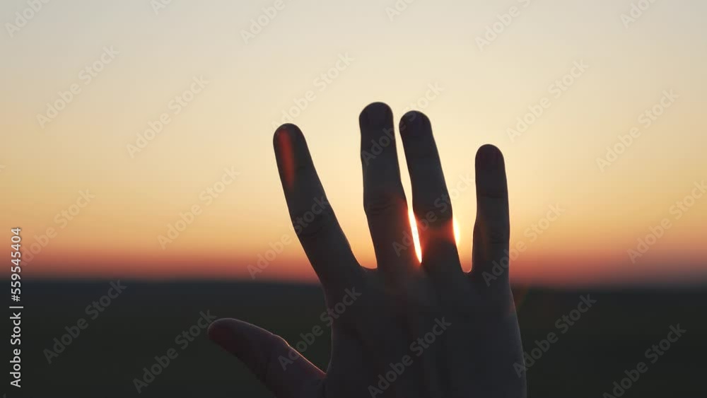 Light backdrop. Sunlight sky. Silhouette of palm of hand at sunset close-up. Man stretches his hand to sun silhouette. man's hand in sun close-up. concept of dreams, religion, motivation Light backdrop. Sunlight sky. Silhouette of palm of hand at sunset close-up. Man stretches his hand to sun silhouette. man's hand in sun close-up. concept of dreams, religion, motivation