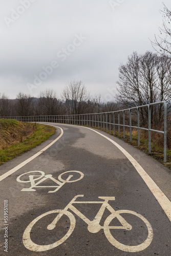 A twisting asphalt bike path with barriers with a bicycle sign, the diffused light of a cloudy day. 