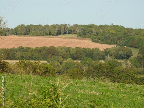 Fields and clearings surrounded by trees