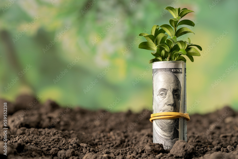 Growing money in the soil with green leaves and trees, with Growing money in the soil with green leaves and trees, with
