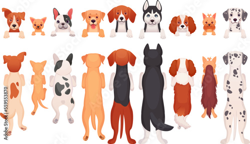 Hanging dogs. Peeking pets front or back border, cartoon standing dog puppies hang head and paw on banner, row looking pet canine faces, peek animals ingenious vector illustration