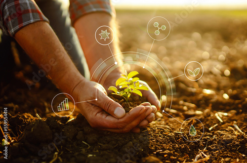 Young plant in hands with soil with graphic concepts Fototapet