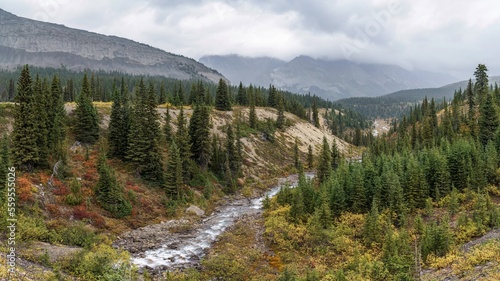 During autumn, looking east through the forest along Hilda Creek from Icefields Parkway at Saskatchewan River Crossing in Kananaskis Country (Claresholm), Alberta, Canada.