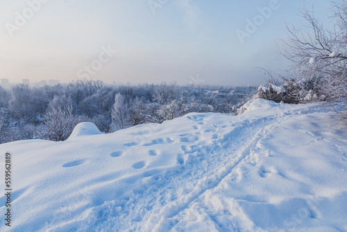 Fototapeta Naklejka Na Ścianę i Meble -  Mountain path in winter, Poland
