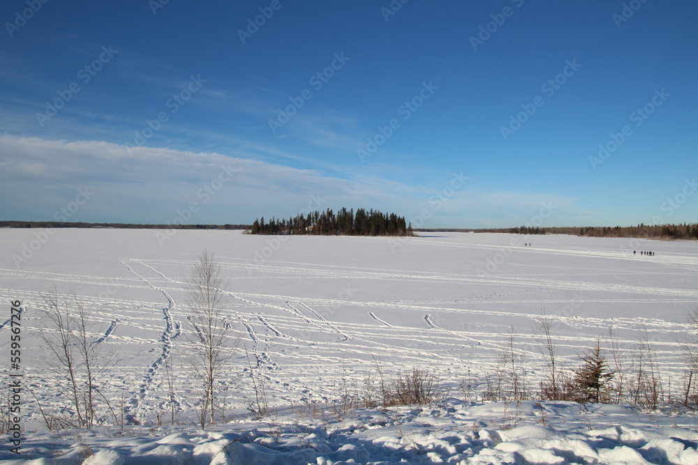 Frozen Astotin Lake, Elk Island National Park, Alberta