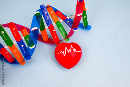 DNA helix structure and heart. DNA, Genetics and cardiovascular disease. How DNA and heart relates. Health and medical, education concept. Design and development of a DNA biobank photo