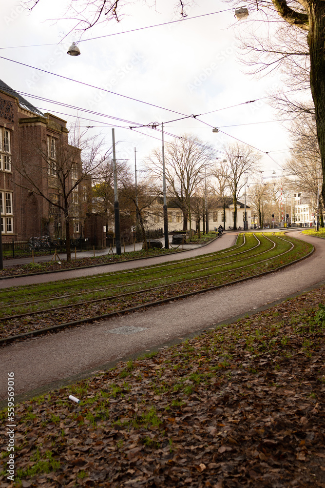 22 December 2022, Amsterdam: Green park in spring season. Streetcar track. 