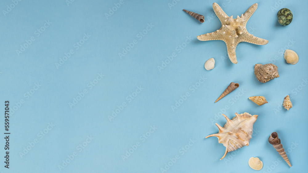 A blue banner with beautiful seashells, a starfish. A flatlay with a copy space for text. Concept for a travel company and agency, vacation at sea A blue banner with beautiful seashells, a starfish. A flatlay with a copy space for text. Concept for a travel company and agency, vacation at sea