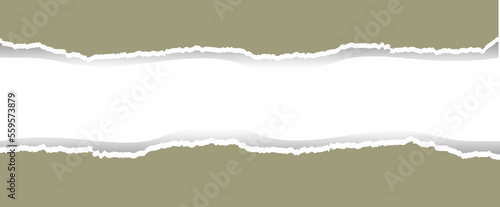 ripped paper background