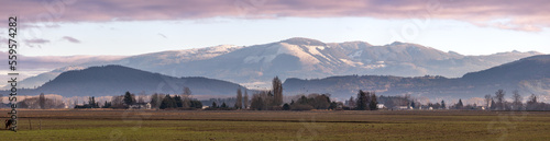 Morning in the Skagit Valley