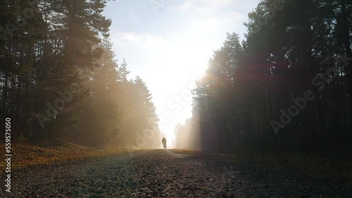 Riding on the gravel bike in the forest photo