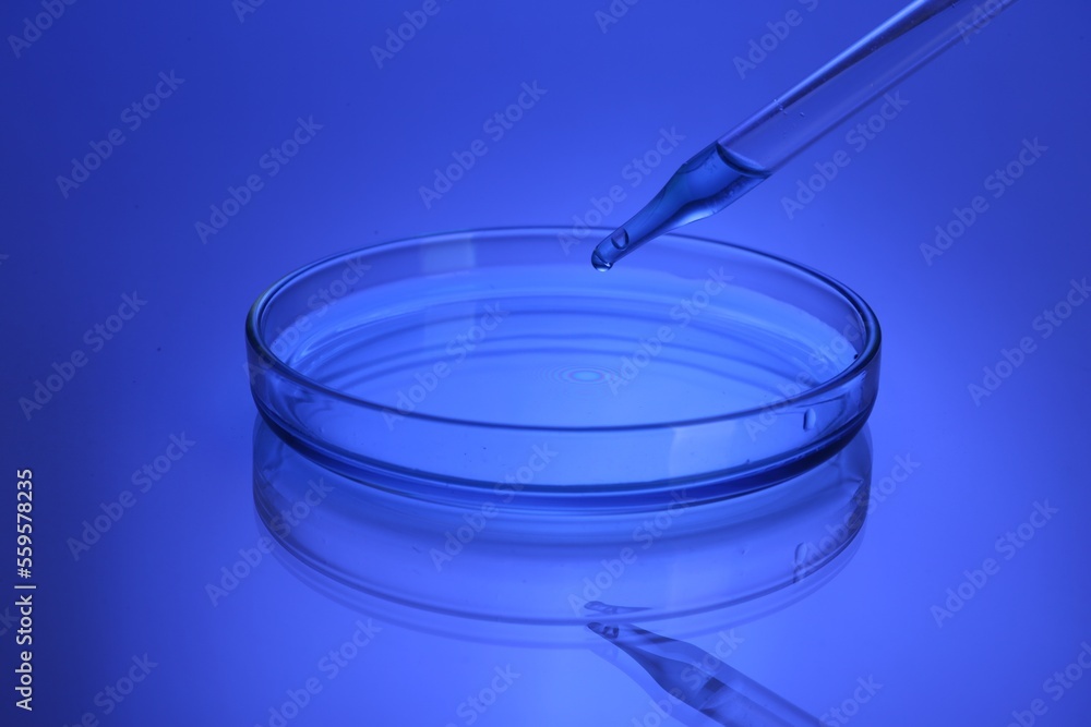 Dripping reagent into Petri dish with sample on table, toned in blue Dripping reagent into Petri dish with sample on table, toned in blue