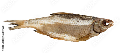 Dried fish vobla. Snack for beer. Isolated object on a transparent background. Element for design and layout photo