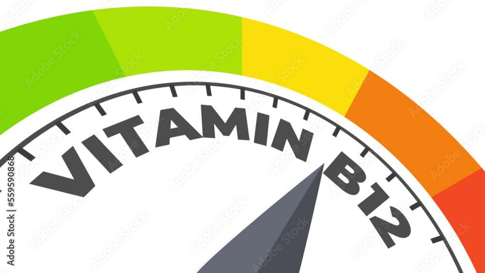vitamin b12 level measuring device animation.zoom effect.Infographic gauge, tachometer, speedometer. vitamin b12 level measuring device animation.zoom effect.Infographic gauge, tachometer, speedometer.