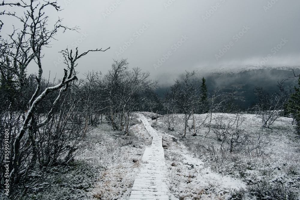 Φωτογραφία dark moody foggy landscape, path in Norwegian mountain to the top of Rogne