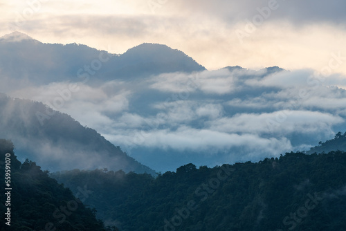 Cloud forest at sunrise, Mindo, Ecuador. © SL-Photography